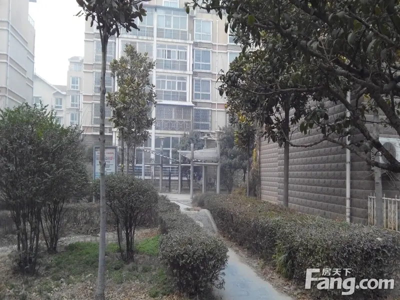 悉尼阳光 4室 2厅 220平米