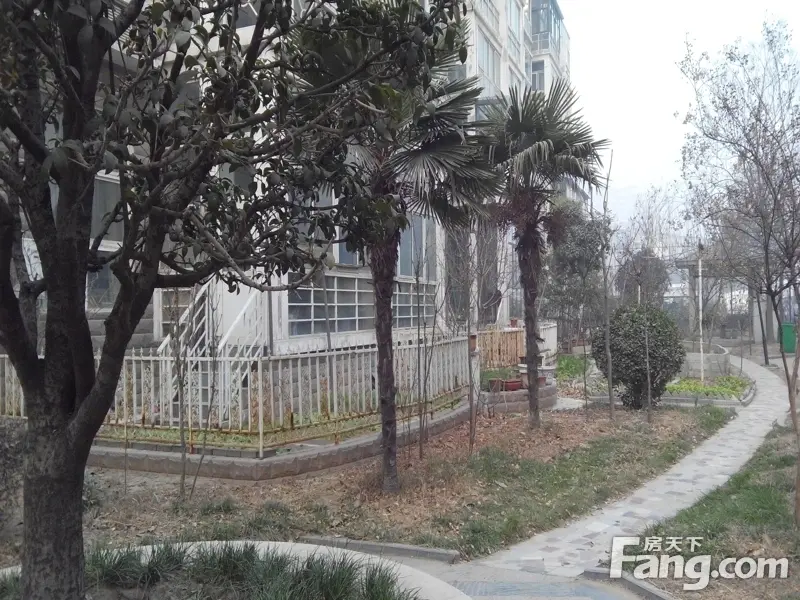 悉尼阳光4室2厅3卫南朝向3000.00元/月出租