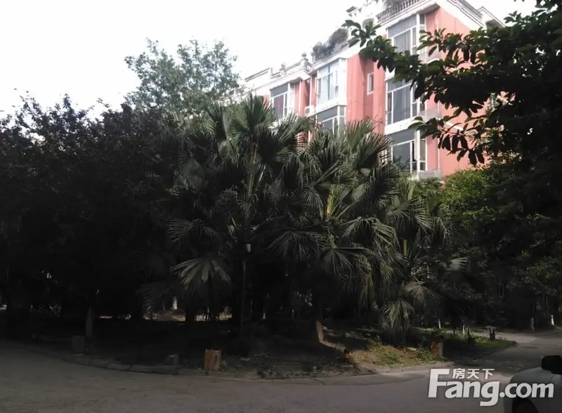 兴元嘉园2室1厅1卫东南朝向2300.00元/月出租