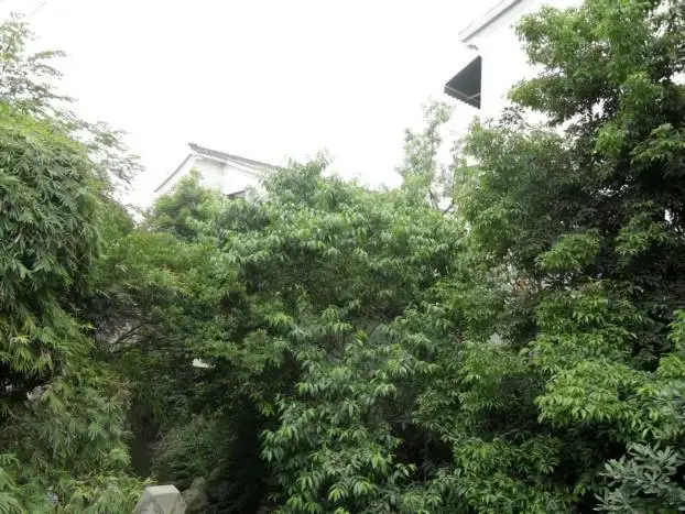 【天鹅湖别墅】环境舒适/交通便捷/配套齐全一站式小区评测