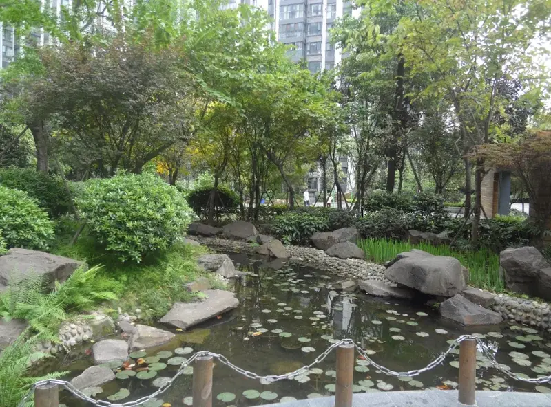 景茂城果1室1厅1卫南朝向1600.00元/月出租