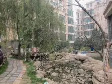 小区绿化面积大,绿树成荫,保洁周天打扫院内干净整洁