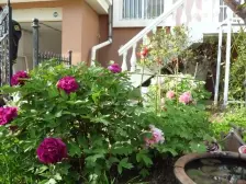 黄海别墅 300平4楼带阁楼 带南北露台 能看海 品质房源