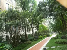 人和 万科缇香郡六房500万