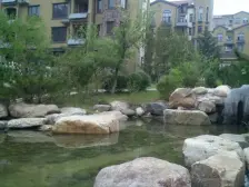 店长推荐 小区中间位置 难得大跃层 装修保持好