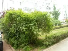 此房楼层好,配套齐全,出行便利