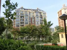 山景房复式 带露台 全天采光,实用面积300平,3车位