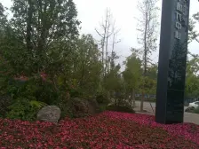 照母山 金科时代中心二房118万