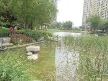 朝凤路 南北通透大两房 看房方便 满五唯一