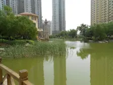 房子满五唯一,楼层采光充足,税费清晰