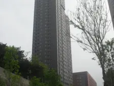 居住优选 一室一厅格局 新装修 直接入住