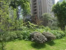 东海阿特豪斯 3室1厅 东南