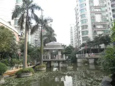 嘉洲广场旁 满5唯一 望花园 拎包入住