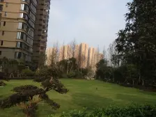 湘域熙岸 3室2厅 南 北