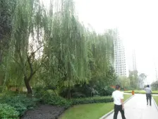 巴国城后门精装修三房小区环境优雅业主诚心卖拎包入住