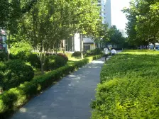 三元桥凤凰城1期3居室保持好有单独门厅黄金东南角看社区园林景