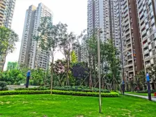 双山 中交丽景三房90万