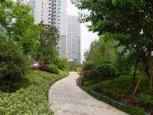 恒大雅苑 3室1厅 东南