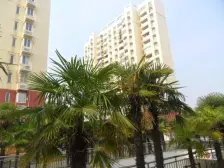 瑞和新苑1室南朝向200.00万元/套出售