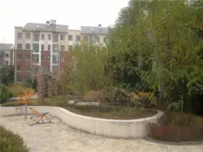 小镇南院2楼海景房 通厅通透独立厨房精装修即买即住