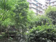 步行街 天使花园二房61.8万