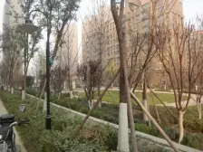 好楼层,采光无遮挡,小区环境好,社区配套熟