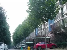 一梯两户 中间楼层 业主诚心出售 看房方便