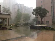 橡树玫瑰城 3室1厅 南