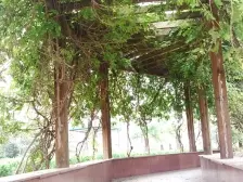 长江路兴华街,五号街坊,多层二楼楼皇,业主诚心出售