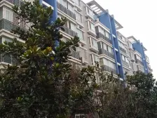 五号街坊 多层社区 双气 南北通透 看房方便