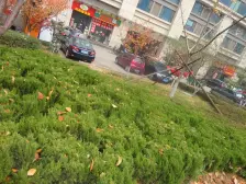 万达旁 会展北邻 香格里拉 正规两室 看房方便