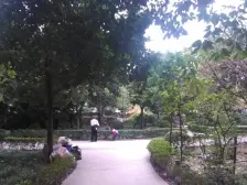 毛线沟 心巢御园二房72万