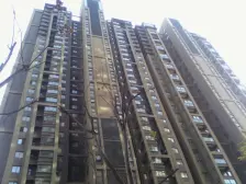 双阳台,好楼层,采光好,精装修