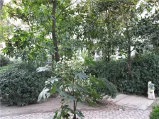 大开间,双阳台,诚意出售,精装好房