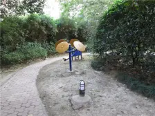 房子在出租的,看房子随时