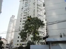 南天大楼 满五年名下一套,高楼双南,采光视野佳