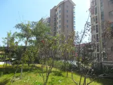 大方 精装修家具家电齐全 南北通厅 海景房 拎包即住