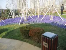 急售求谈,样板示范别墅,精致有品位,电梯直达车库