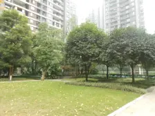 金科物业 精装修家电齐全 看中庭 住家安静 购物方便