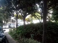 老牌品质社区电梯高区双南全明两房一厅,汇师+徐汇中配套