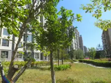 鹭岛蓝湾四室两卫海景房 无遮挡 嘎嘎好b