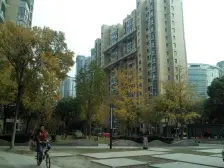 象源丽都 1室2厅 南