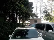 徐家汇·玉兰花苑·2室·1厅