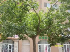 2室2厅1厨1卫户型,采光充足,户型方正,手续清晰