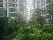 未来丽景苑 满五唯一 标准一室一厅