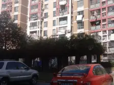 浦江世博家园八街坊 2室1厅 南 北