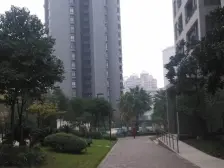 奥体 双轻轨 精装2房 绿化好 出行方便