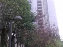 轻轨配套好 出行便利 户型方正,适合居家,装修保持好