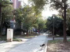 近地铁,拎包入住 无抵押,通风好 新上房源