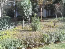 中州大道金水路 广汇PAMA 园林式小区户型方正 价格可谈